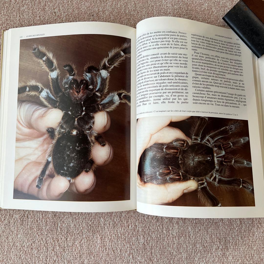 洋書　GUIDE DES MYGALES タランチュラなど