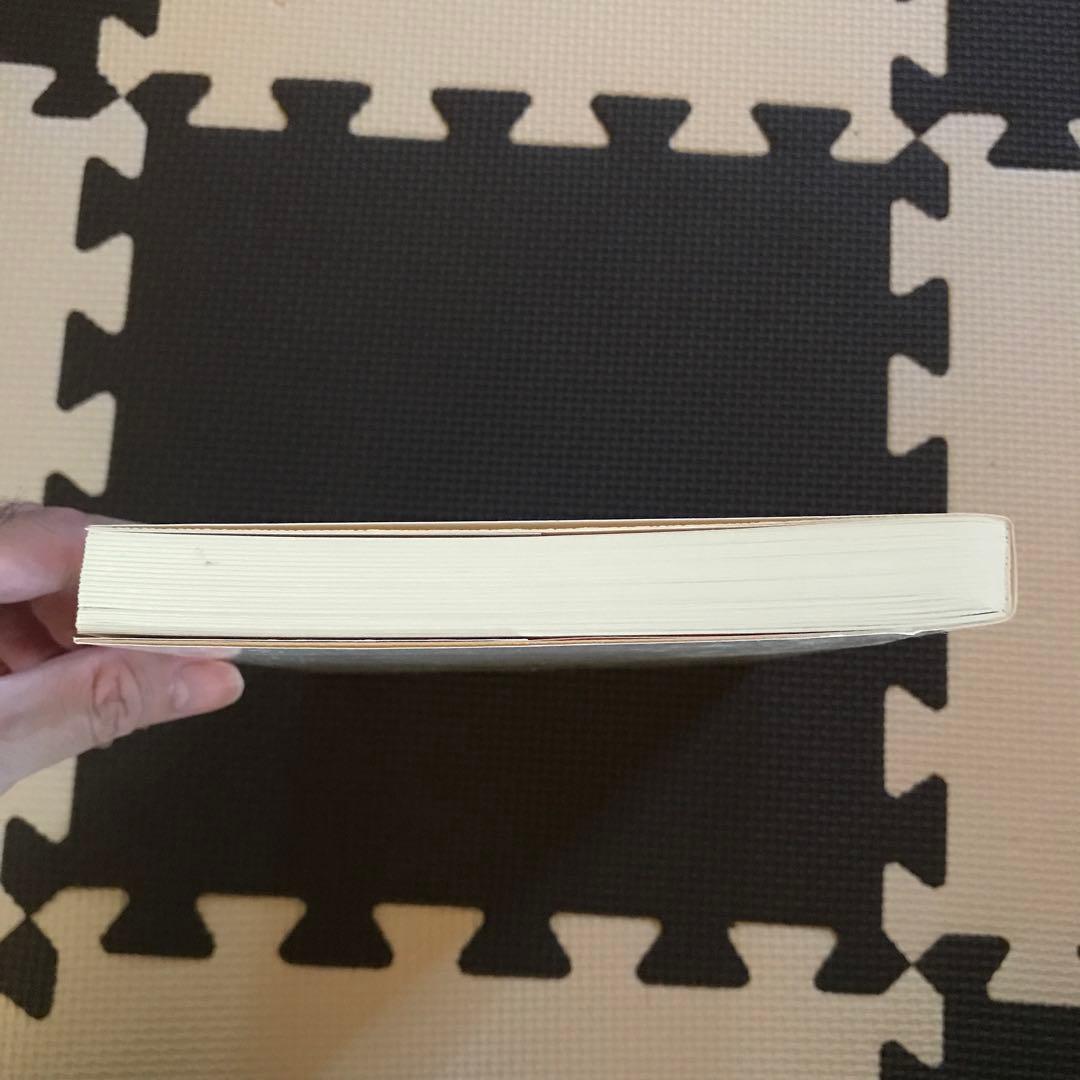 相似象学会誌　相似象　第１３号