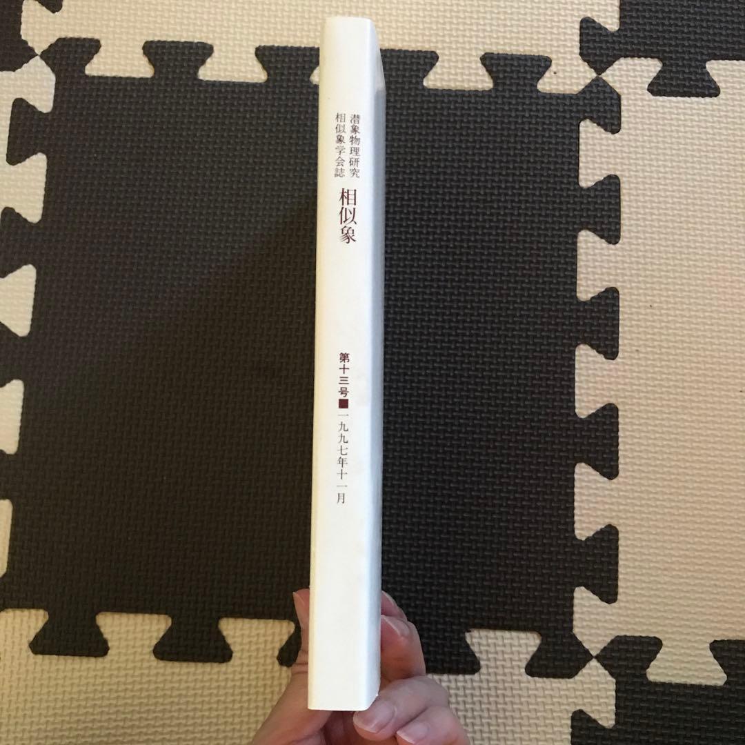 相似象学会誌　相似象　第１３号