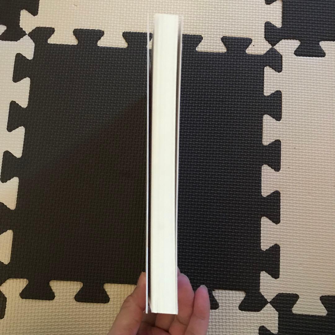 相似象学会誌　相似象　第１３号