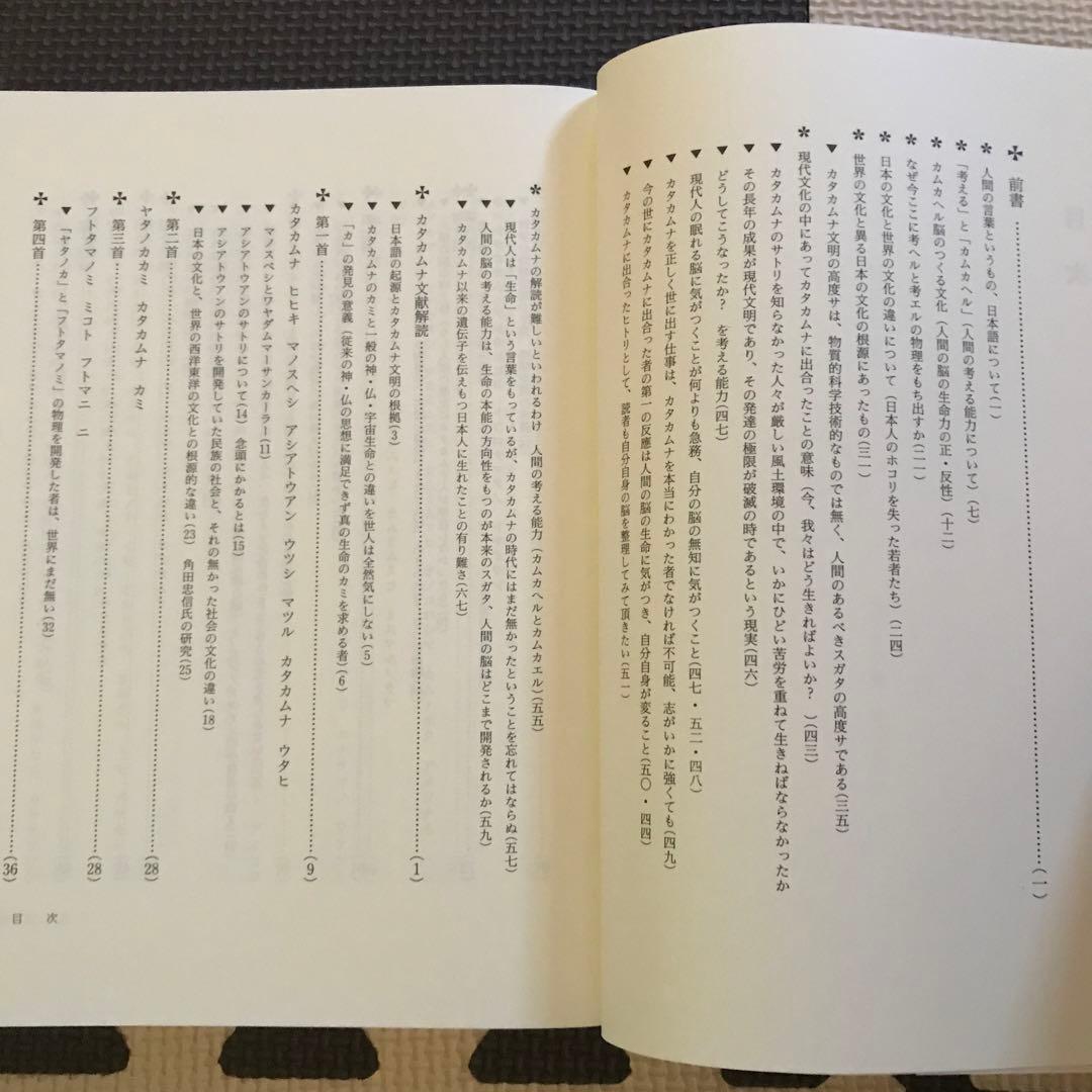 相似象学会誌　相似象　第１３号