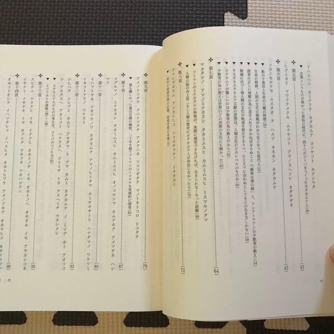 相似象学会誌　相似象　第１３号