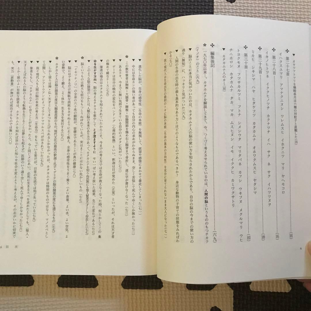 相似象学会誌　相似象　第１３号