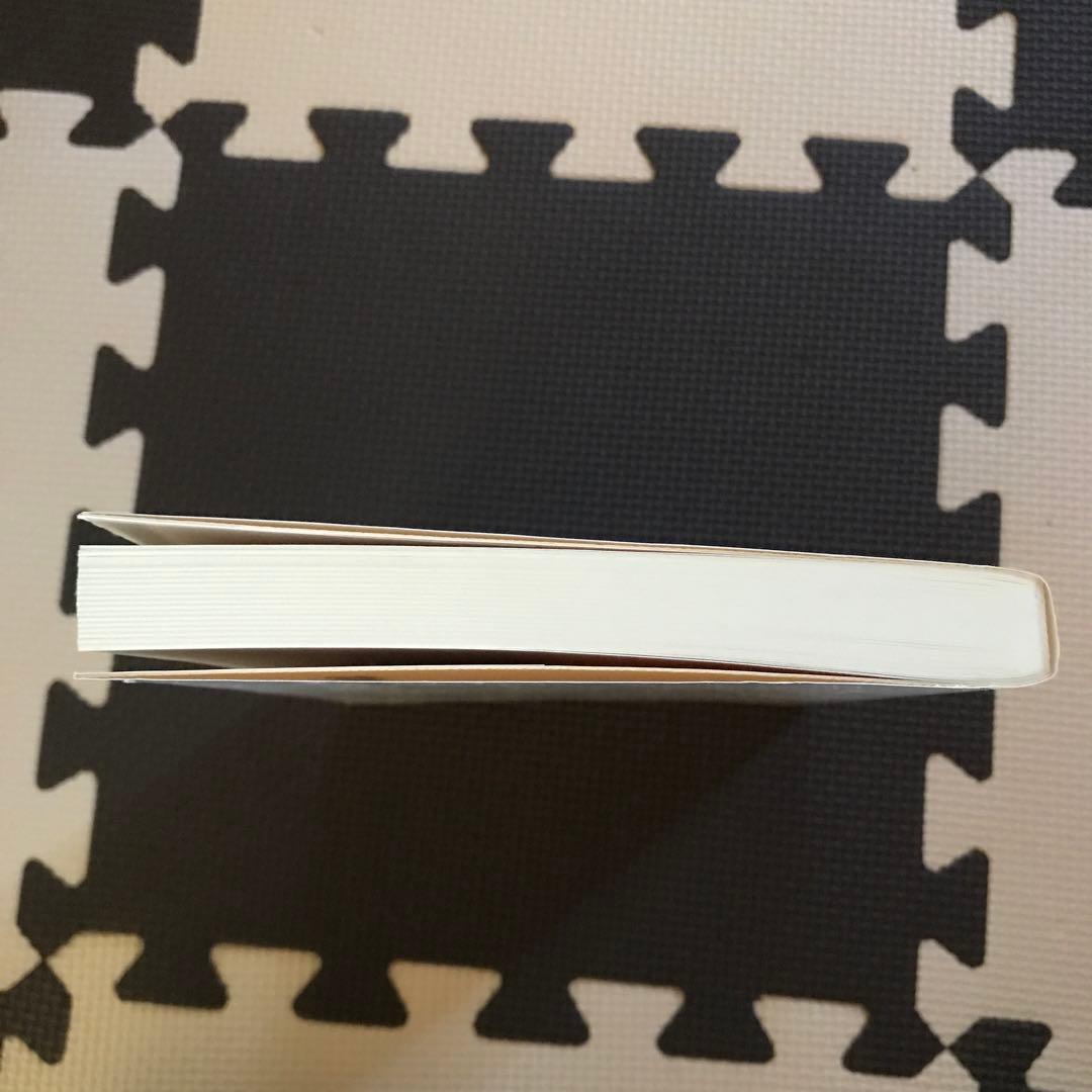 相似象学会誌　相似象　第１３号