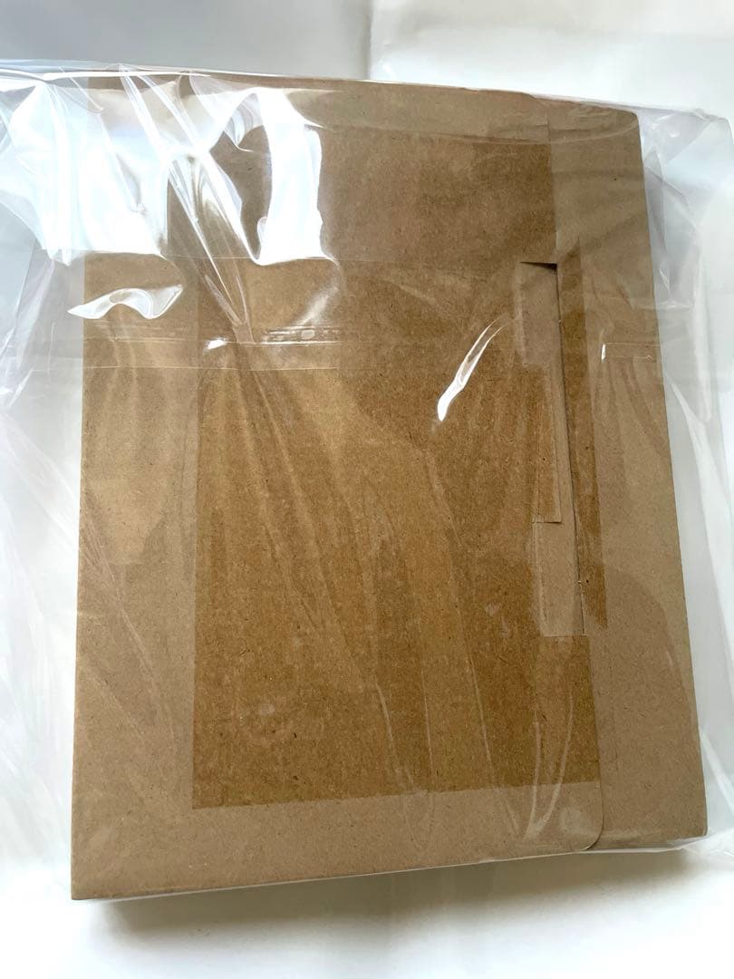 BADHOP　東京ドーム 解散 LIVE DVD 新品未開封