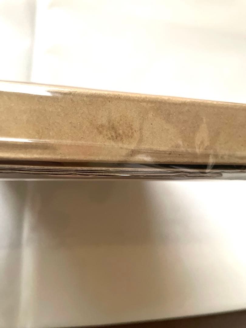 BADHOP　東京ドーム 解散 LIVE DVD 新品未開封