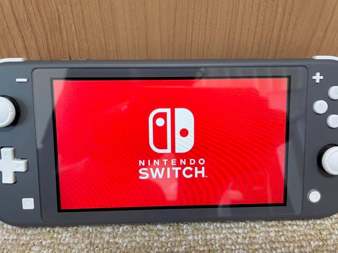 Nintendo Switch Lite グレー 本体 充電器 ケース