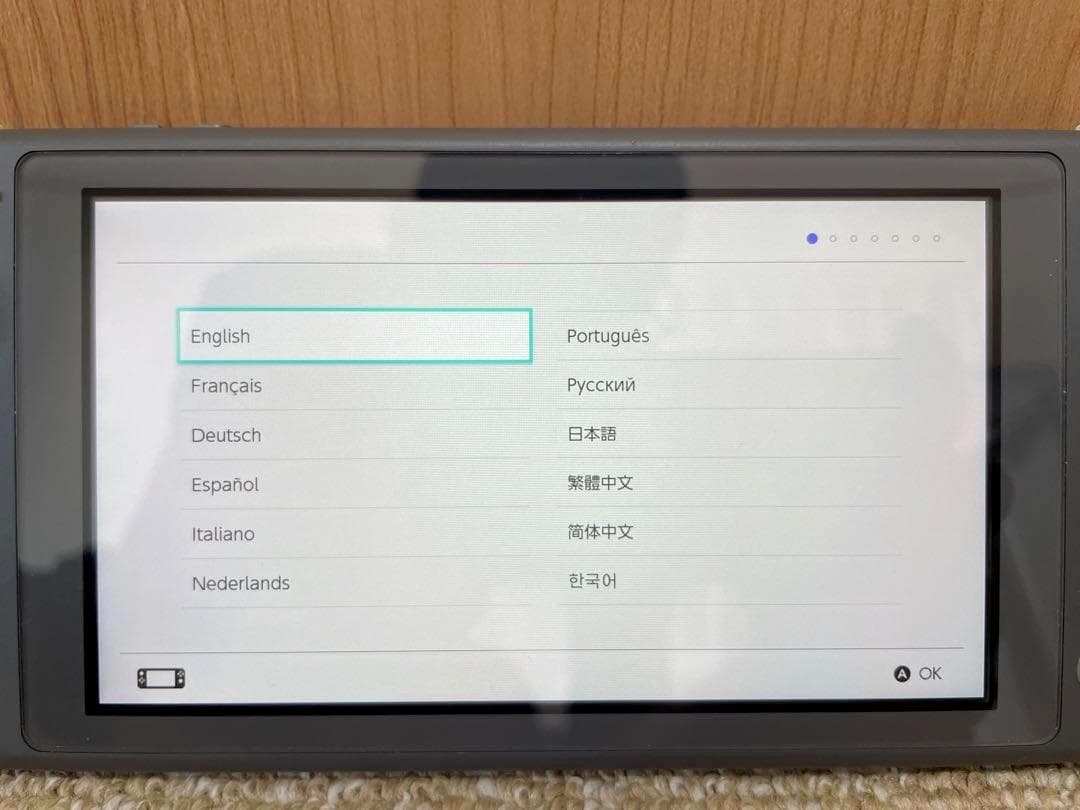 Nintendo Switch Lite グレー 本体 充電器 ケース