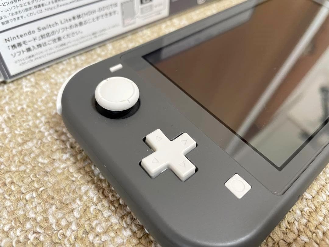 Nintendo Switch Lite グレー 本体 充電器 ケース