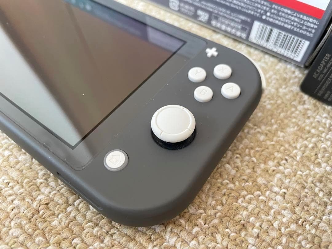 Nintendo Switch Lite グレー 本体 充電器 ケース