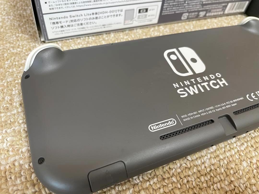Nintendo Switch Lite グレー 本体 充電器 ケース