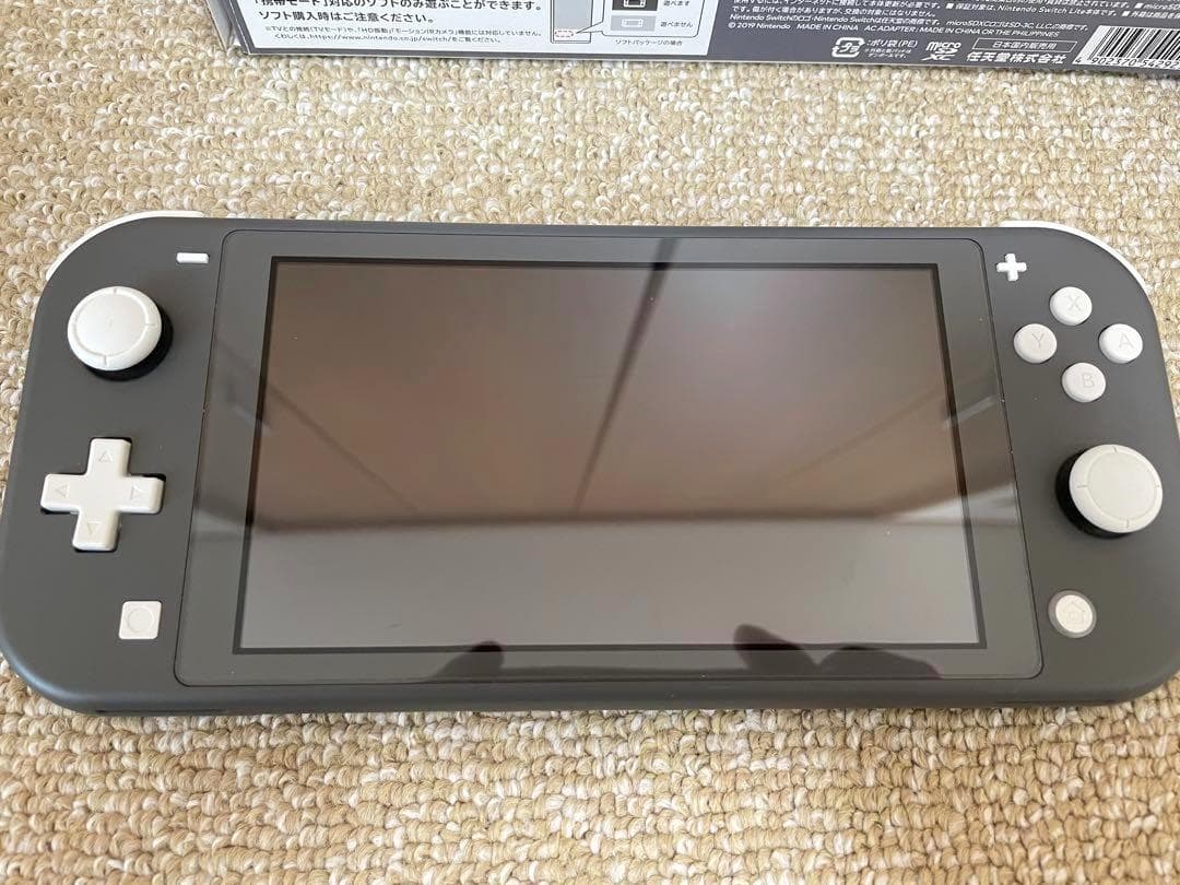 Nintendo Switch Lite グレー 本体 充電器 ケース