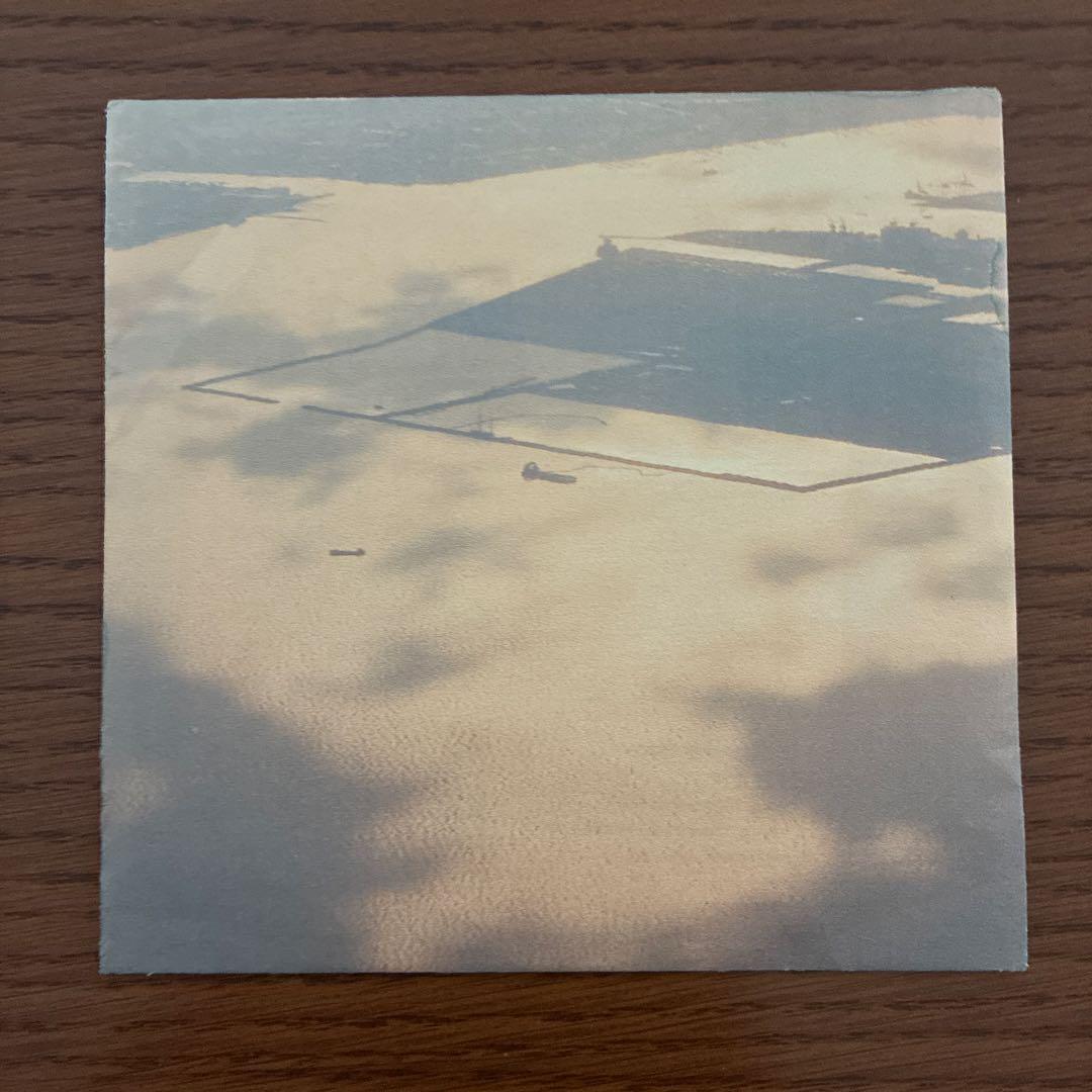 柴田聡子 2011、夏のデモ