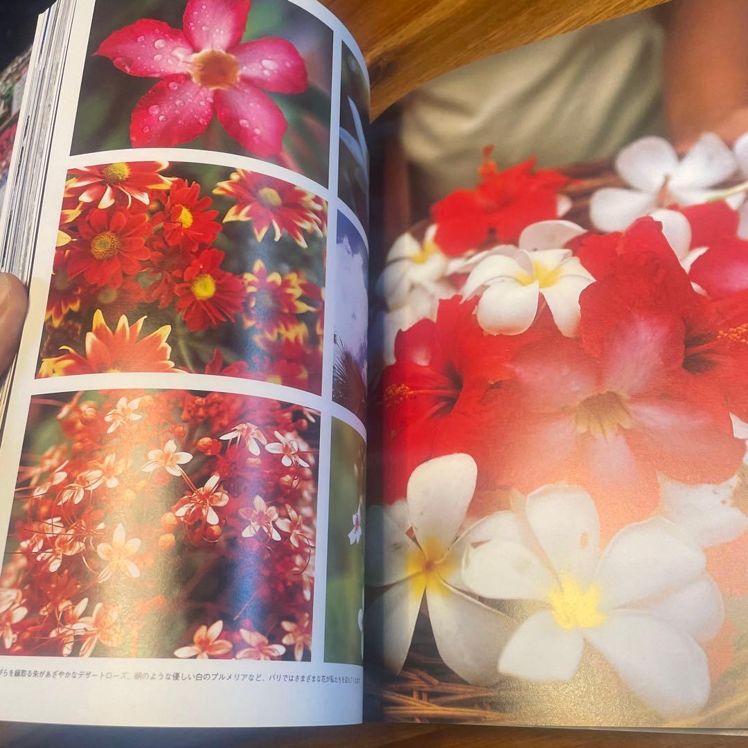 廃版　バリスタイルの家: 西城秀樹の快適バリ生活のすすめ