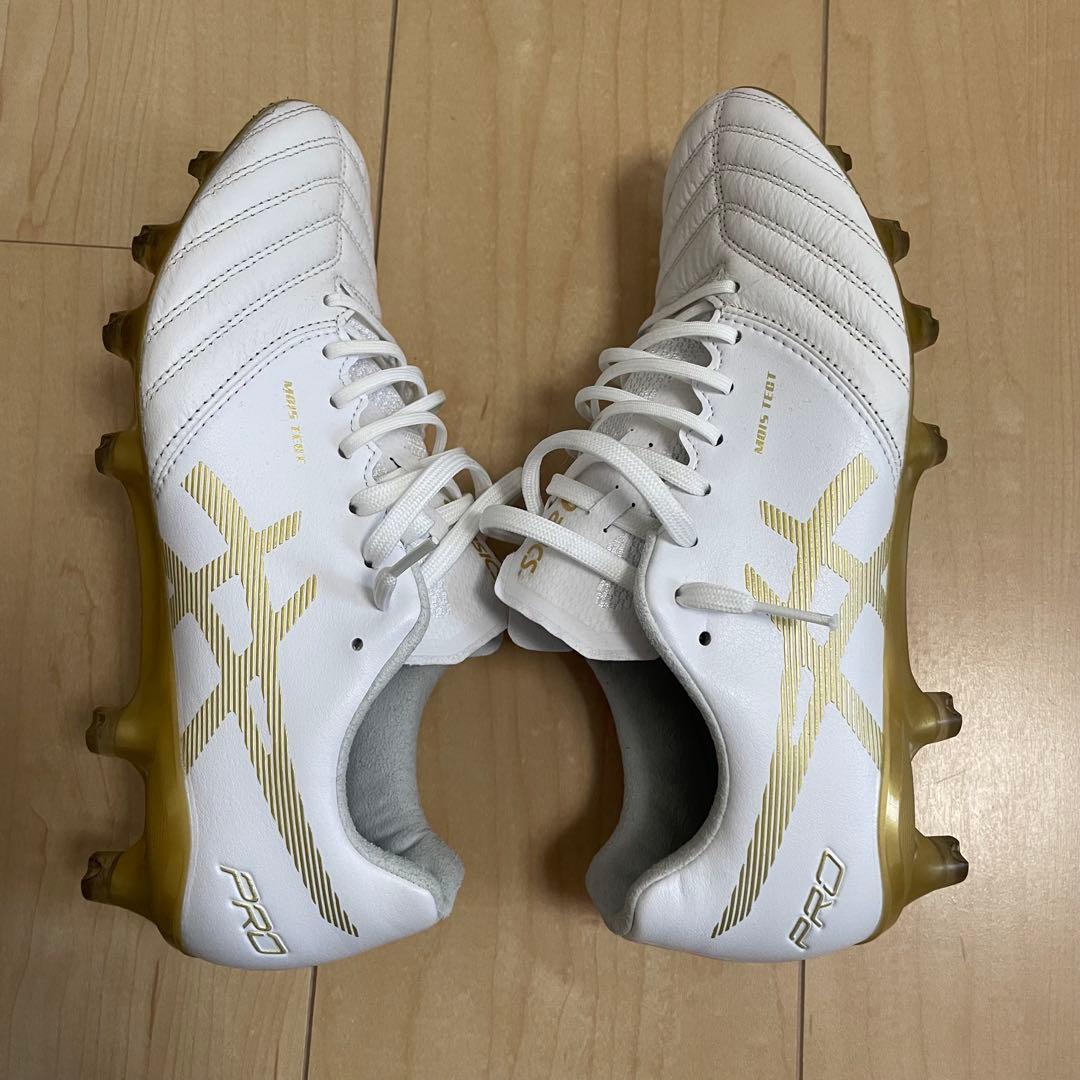 【即購入OK】DS LIGHT X-FLY PRO アシックス 24.5