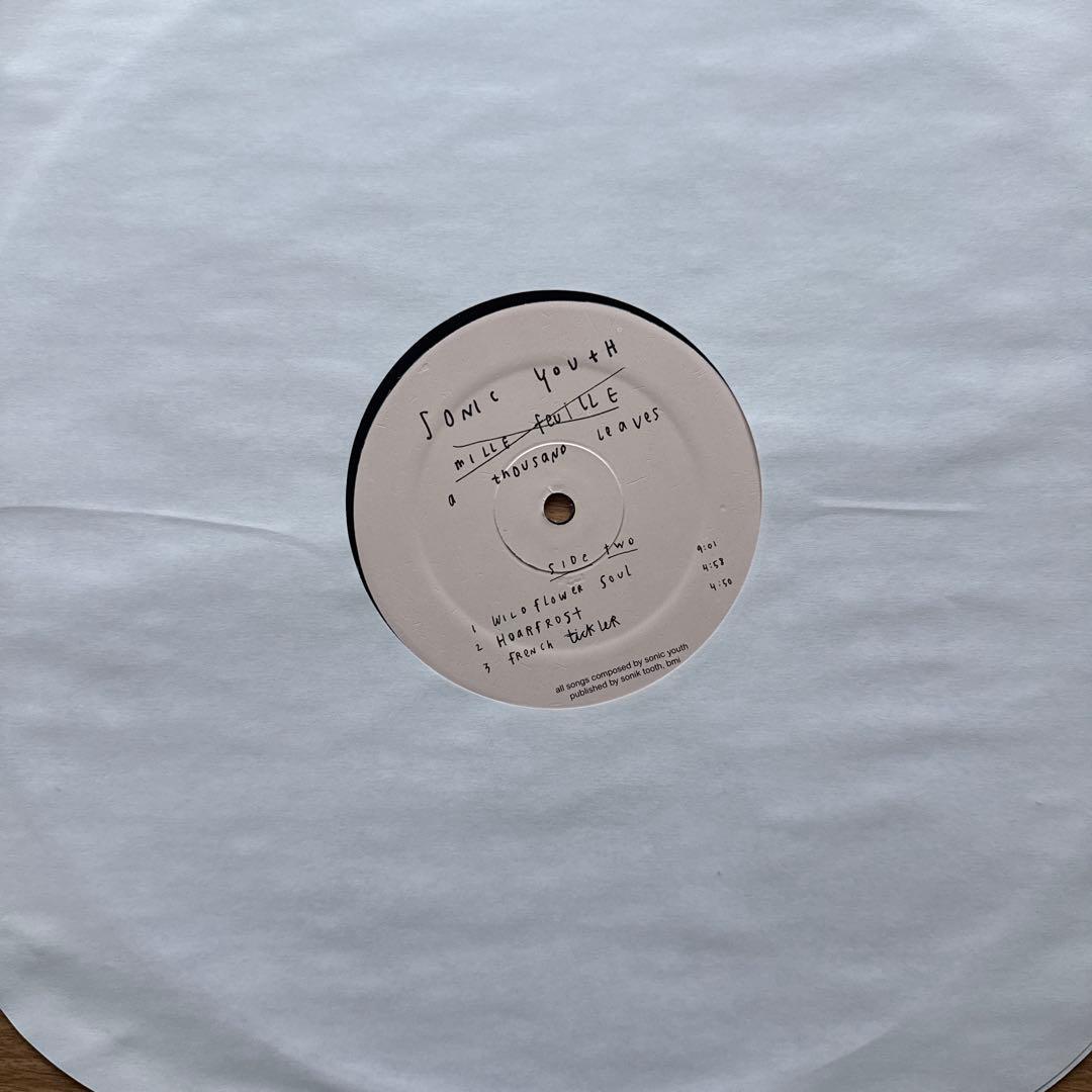 Sonic Youth – A Thousand Leaves