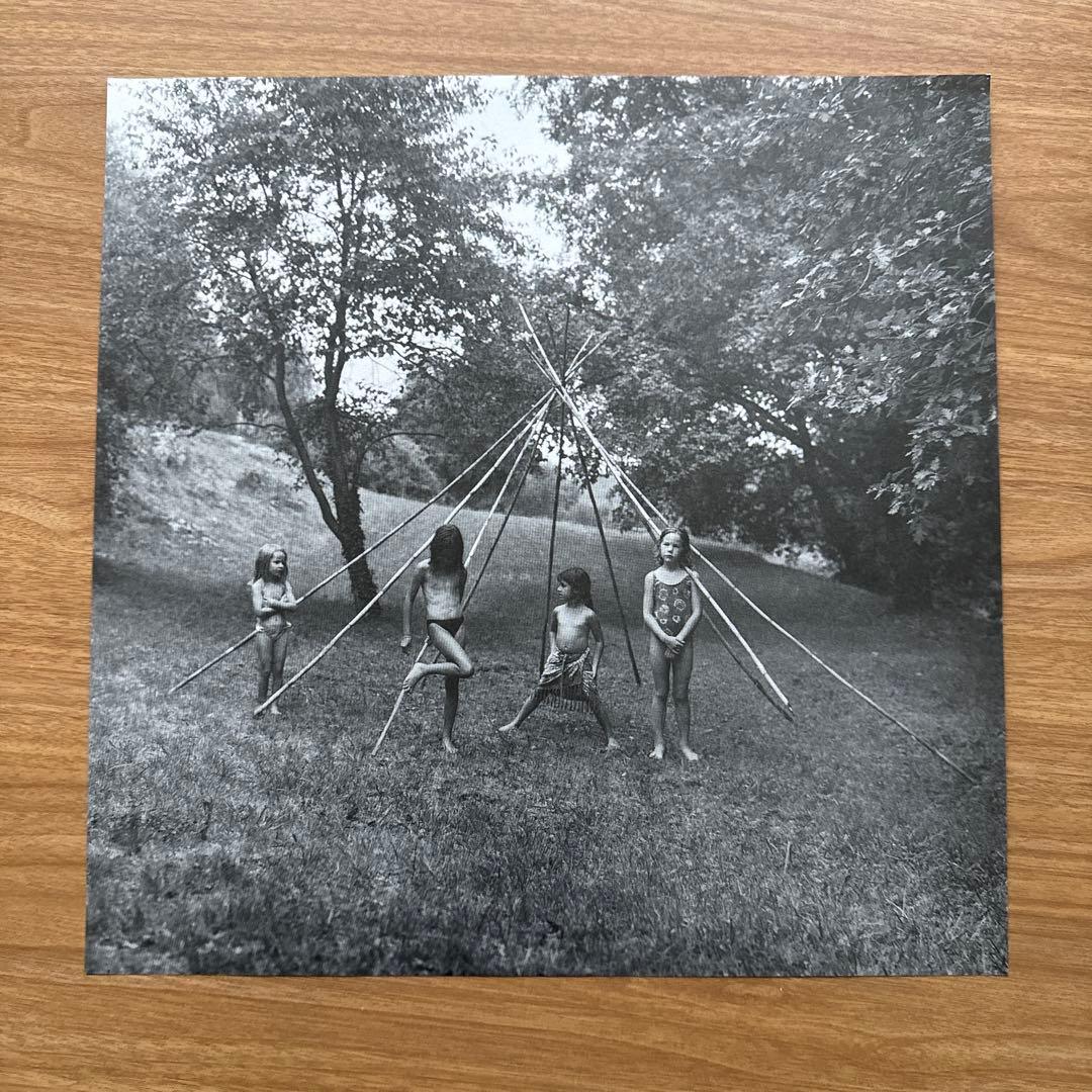 Sonic Youth – A Thousand Leaves