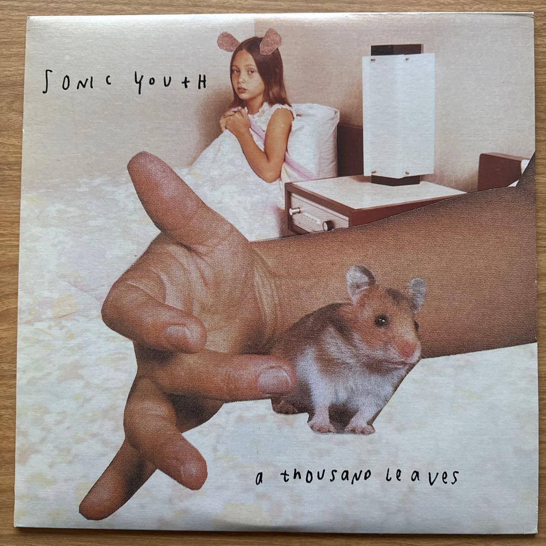 Sonic Youth – A Thousand Leaves