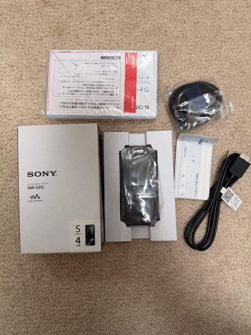 Sony ワークマン NW-S313 4GB