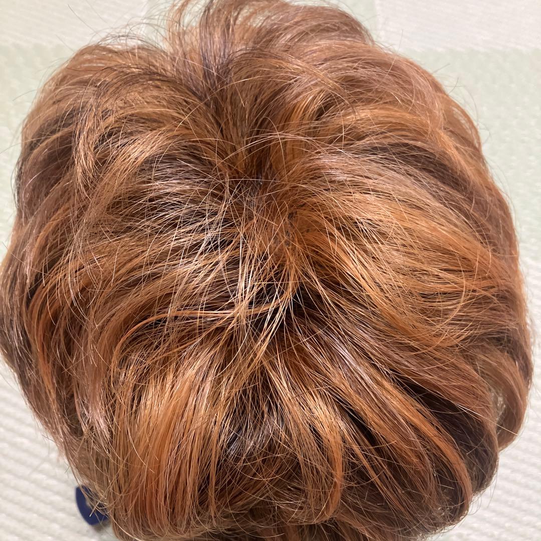 VALAN ヴァラン 人毛 ウィッグ ブラウン系 クリップ付き 中古