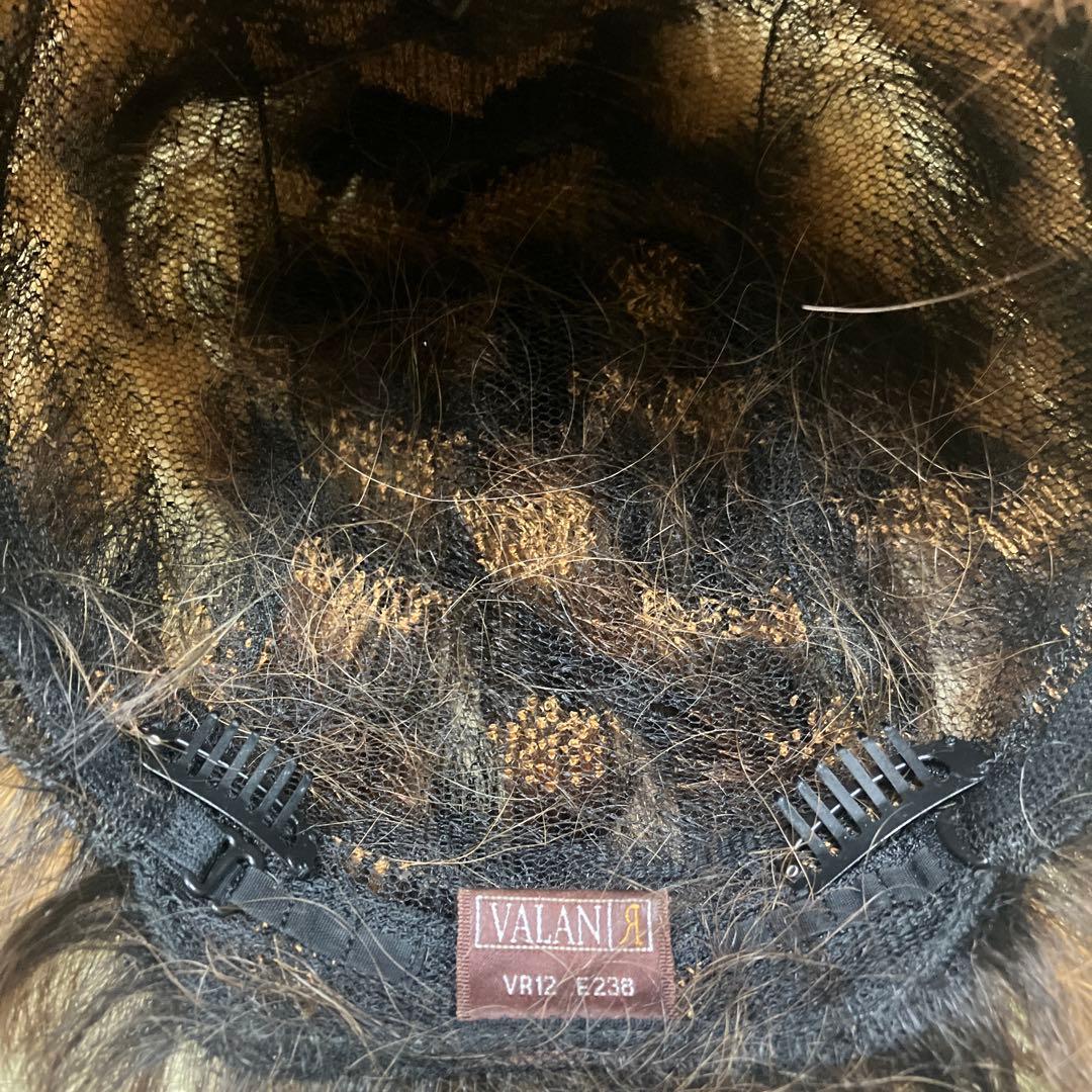 VALAN ヴァラン 人毛 ウィッグ ブラウン系 クリップ付き 中古