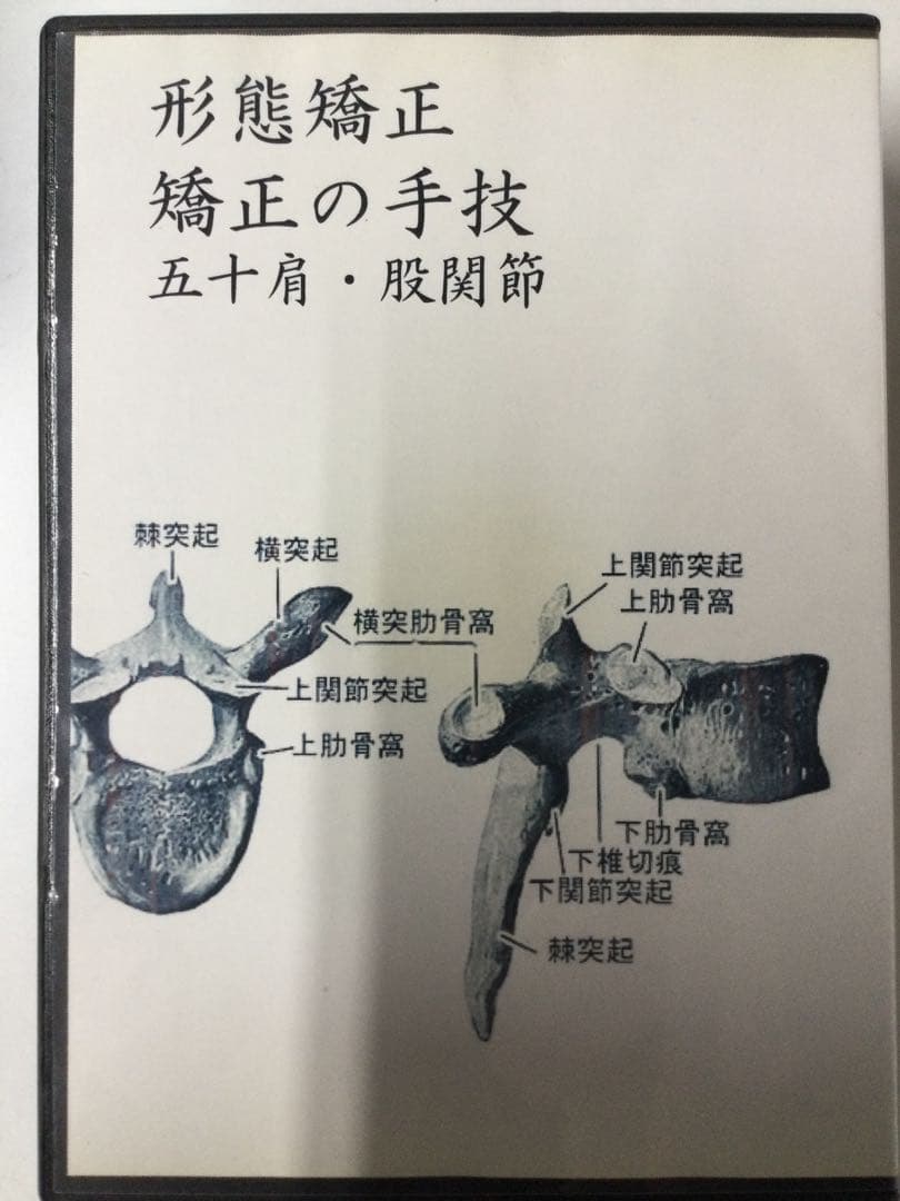 徒手療法協会 花山形態矯正 DVD5巻セット計６枚 整体 モルフォセラピー