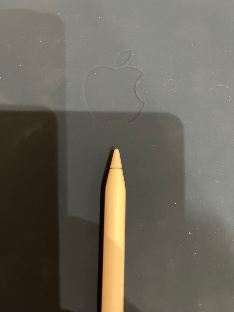iPad Pro 11インチApple Pencil純正　セット　動作確認済