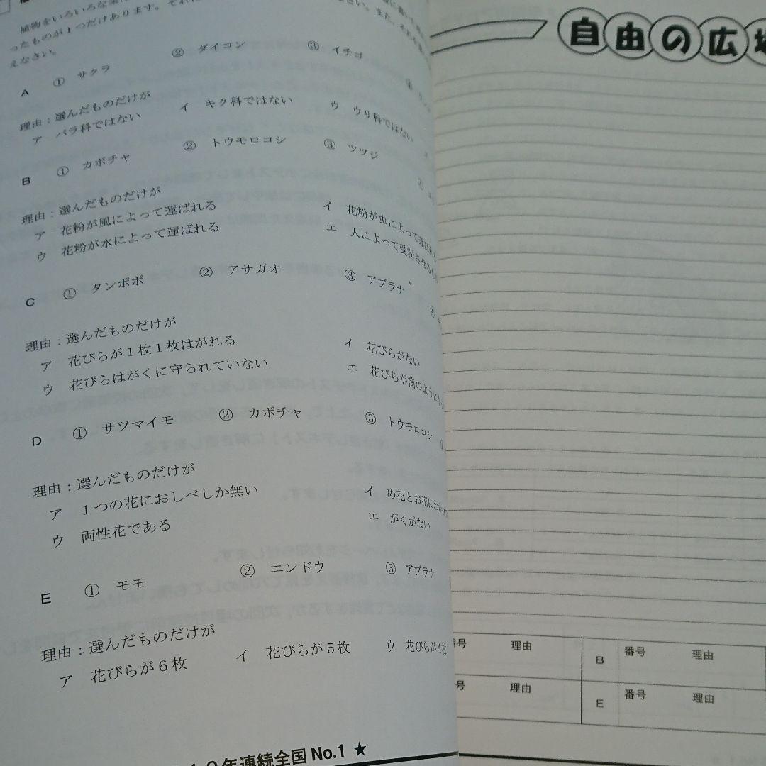 2022年終了組【未使用】NN早実クラス[後期]テキスト 4教科 全12回セット