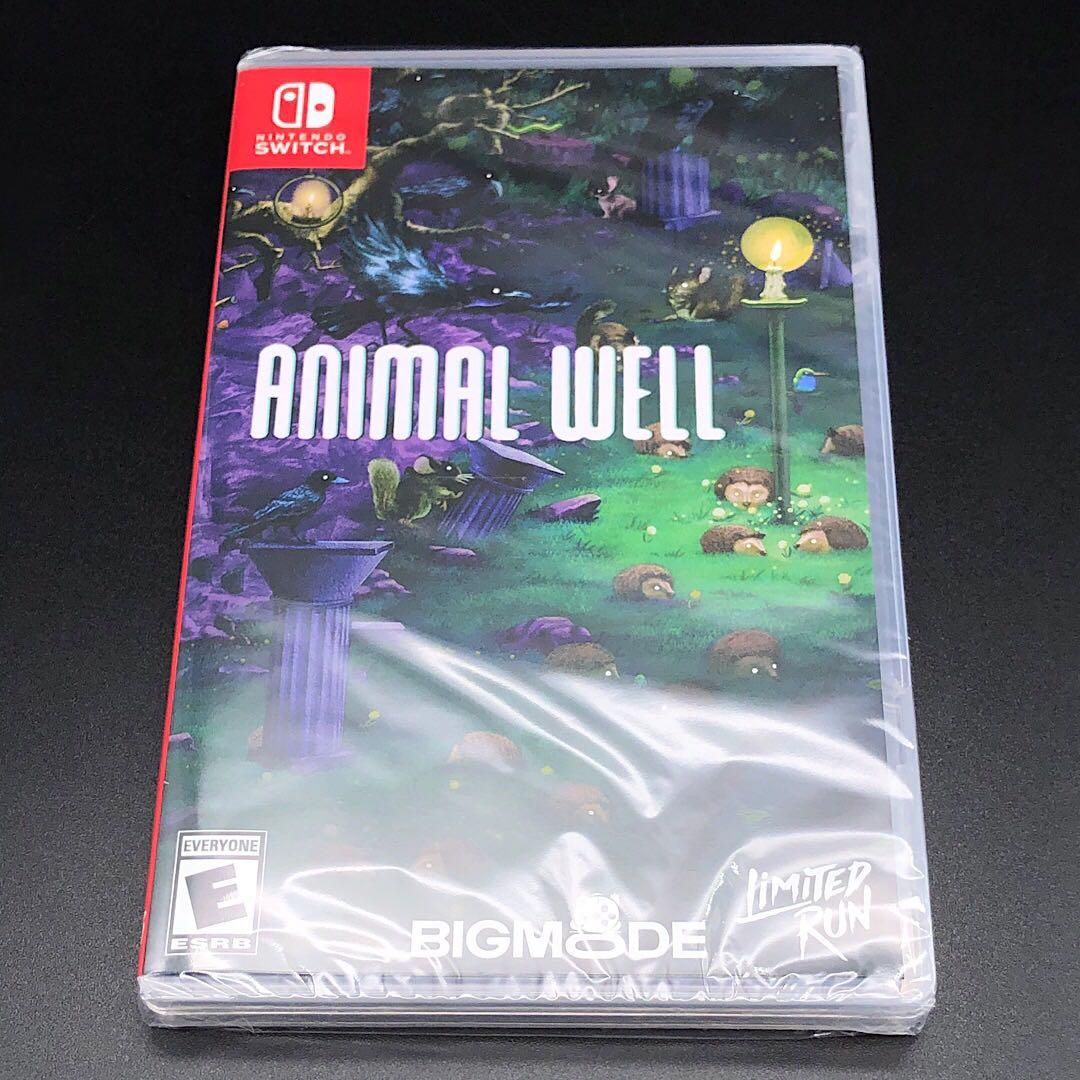 ANIMAL WELL アニマルウェル switch ニンテンドースイッチ