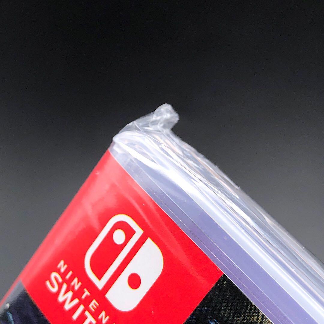 ANIMAL WELL アニマルウェル switch ニンテンドースイッチ