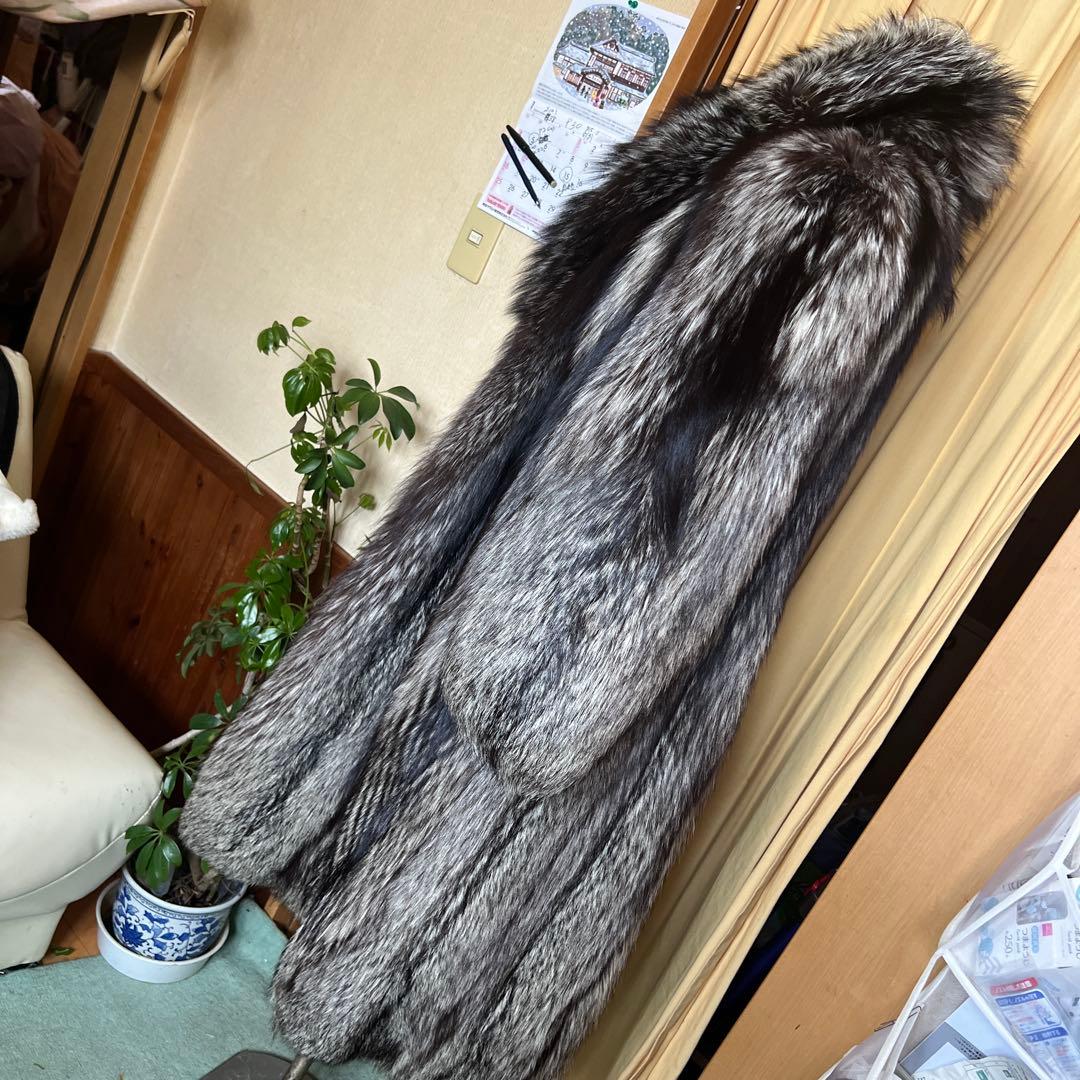 シルバーFOX ＳＡＧＡ