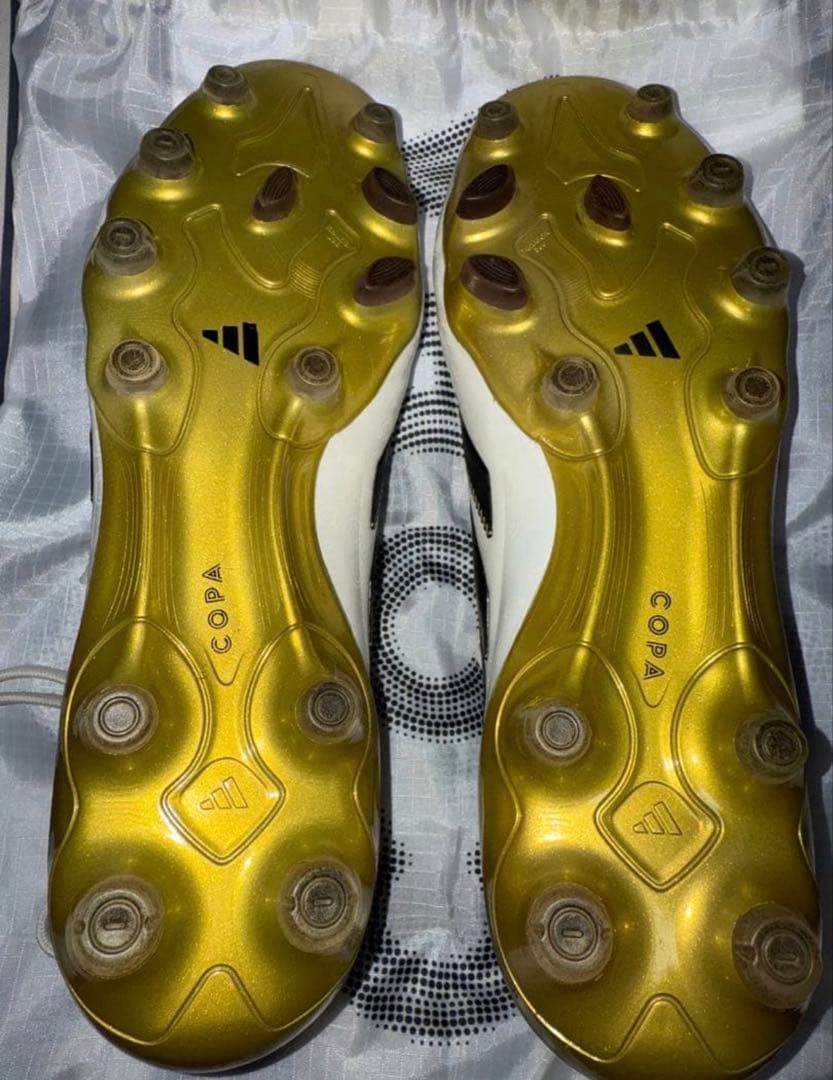 コパピュア 3 FG25.5cm