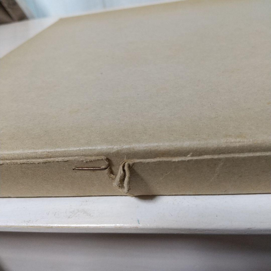 80sIMPROBABLE MEMORIES サラムーン 写真集