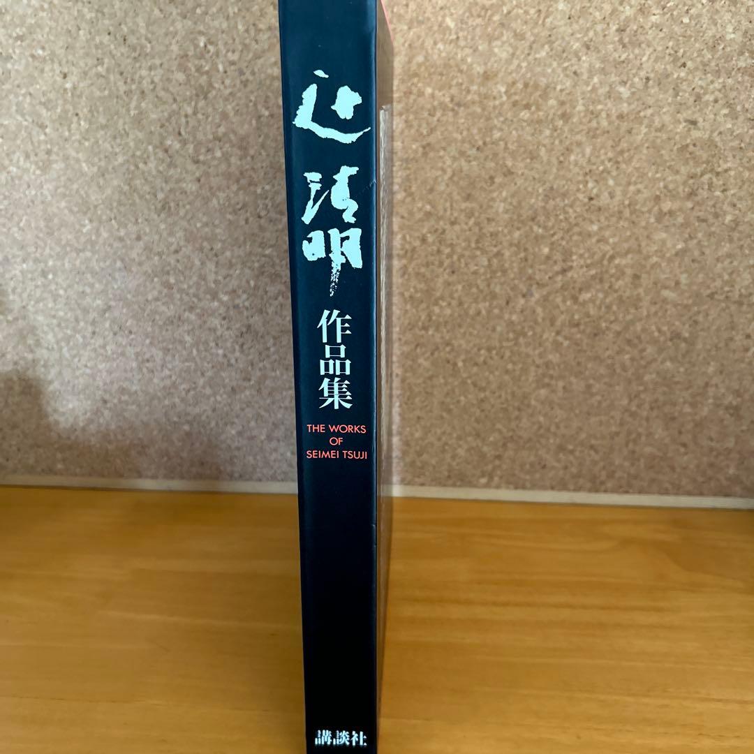 辻清明 作品集 作陶50年記念出版 講談社　信楽焼　陶芸