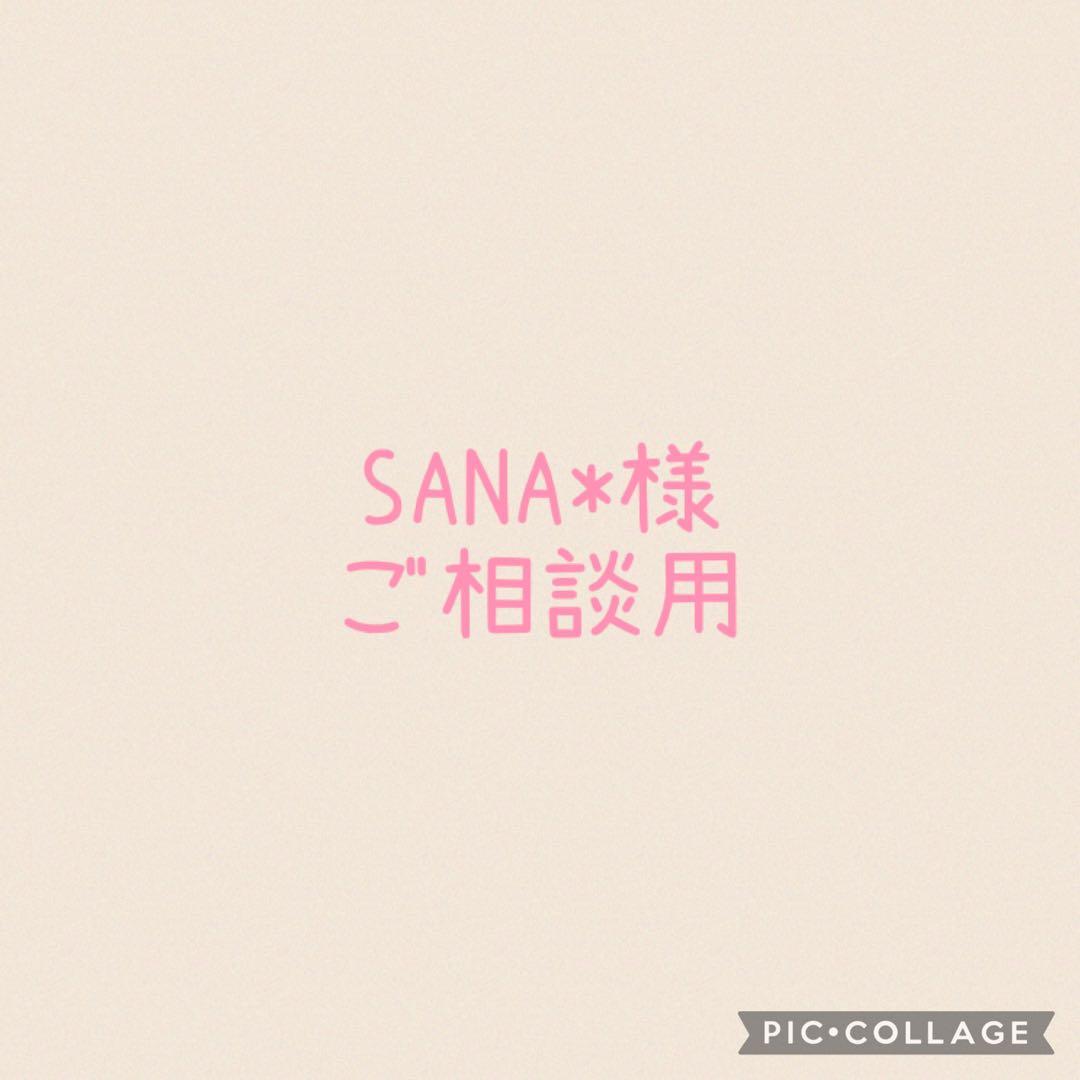 SANA*様ご相談ページ