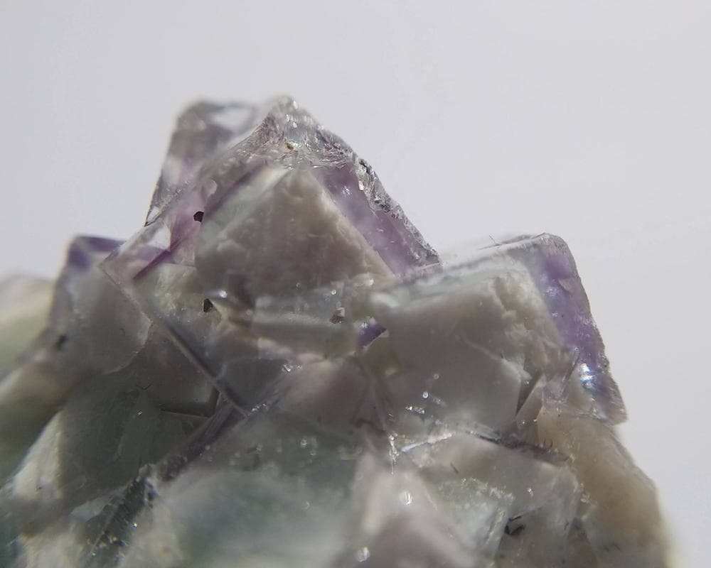 329 ポーセリンフローライト