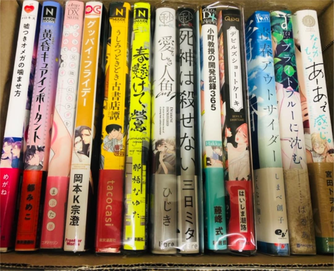 BLコミックスまとめ売り① バラ売り2冊〜