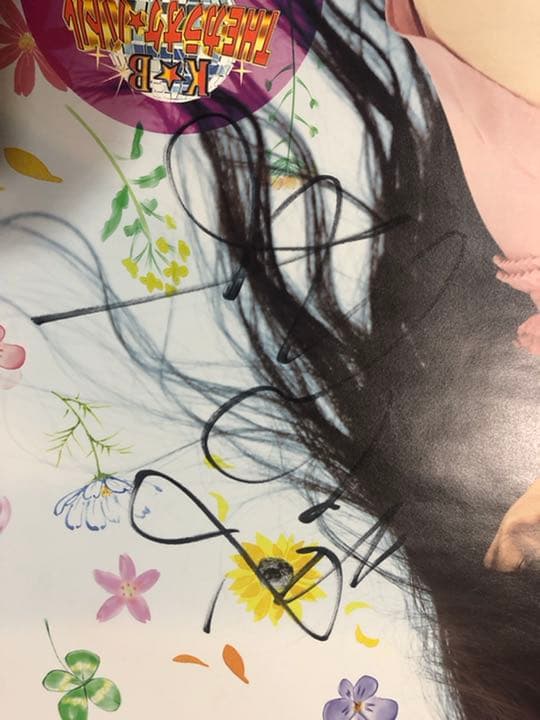 城南波　激レア自筆サイン入りポスター