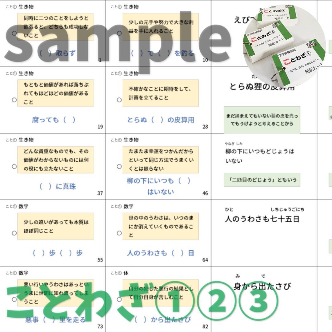 【069】中学受験国語の重要語句セット　サピックス　言葉ナビ上下対応　中学入試