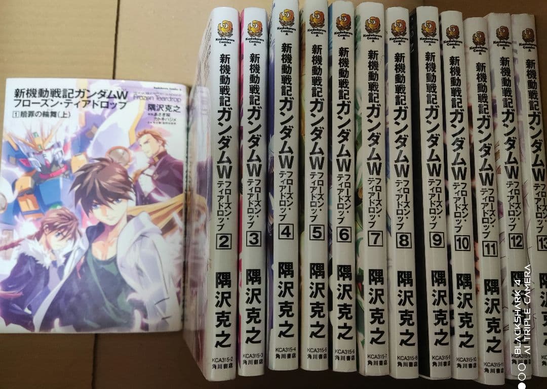 Frozen Teardrop 初版 13冊 全巻セット 新機動戦記 ガンダムW