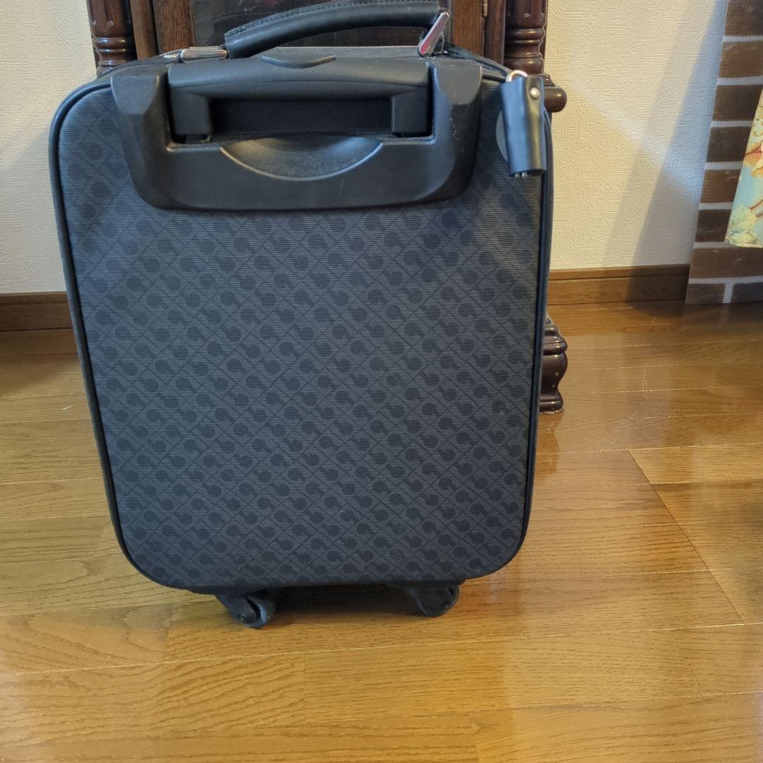 ゲラルディーニ　キャリーバッグ 30000円→27000