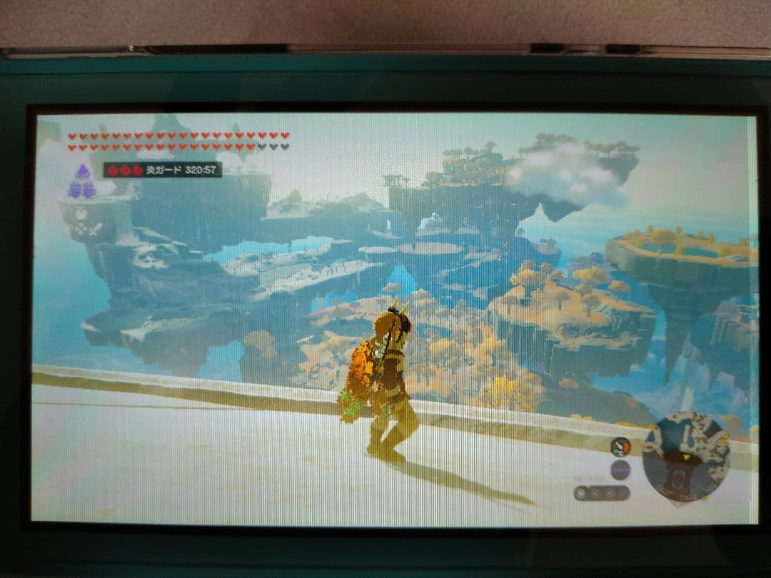 Nintendo Switch Lite 本体のみ　ジャンク