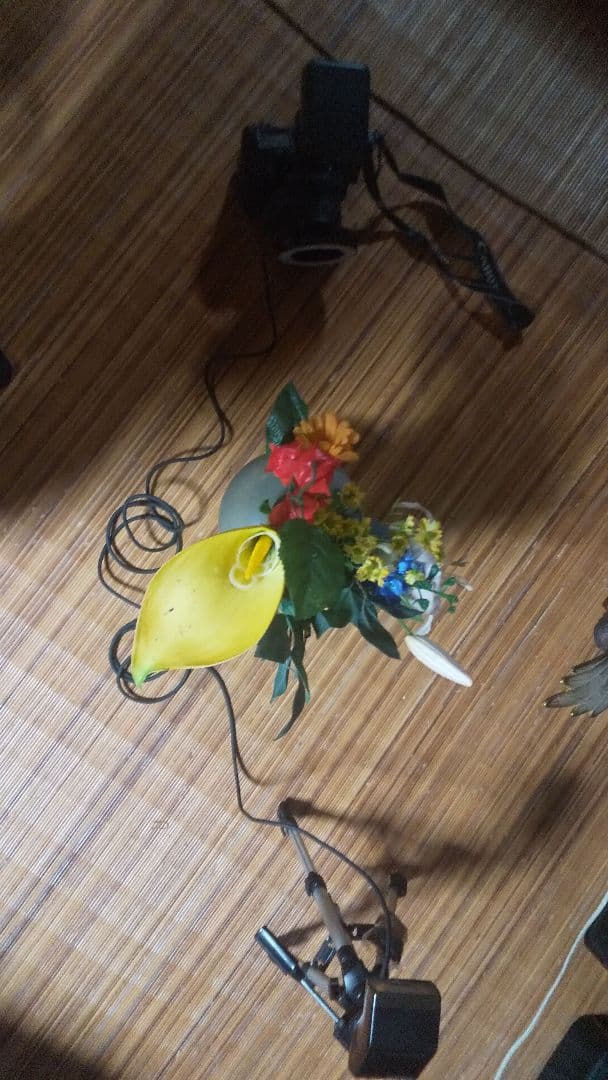 Canon EOS 1V フィルムカメラ、レンズ、ストロボ、三脚、他、セット