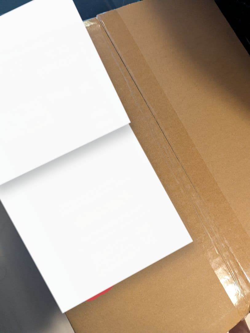 ピンクカモ Pigment Coated S Logo 6-Panel