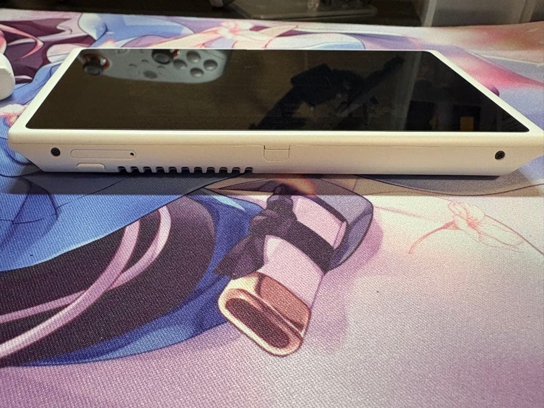 その他 pimax portal