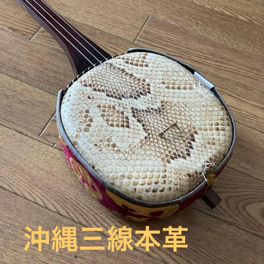 本蛇革三線　ゆし棹