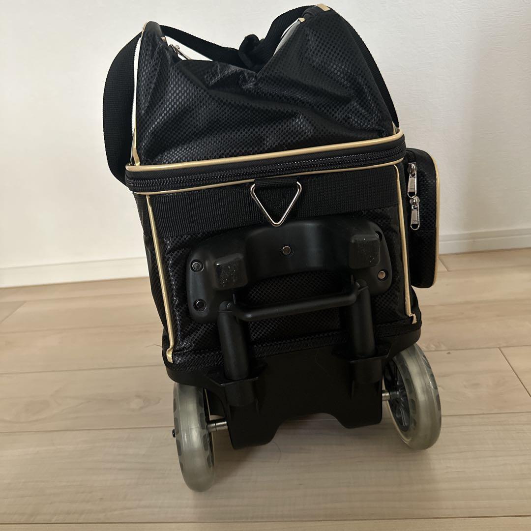 【極美品】2ボール用 Brunswick クラウン2ボールローラー