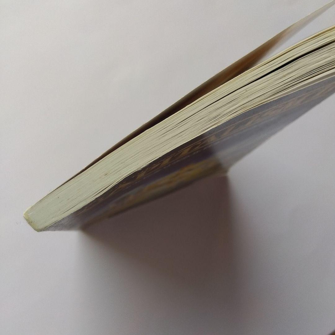 キャピタリズムII 日本語版