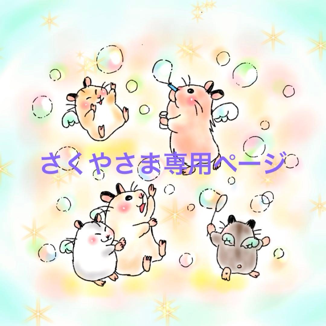 さくやさま専用4冊セット