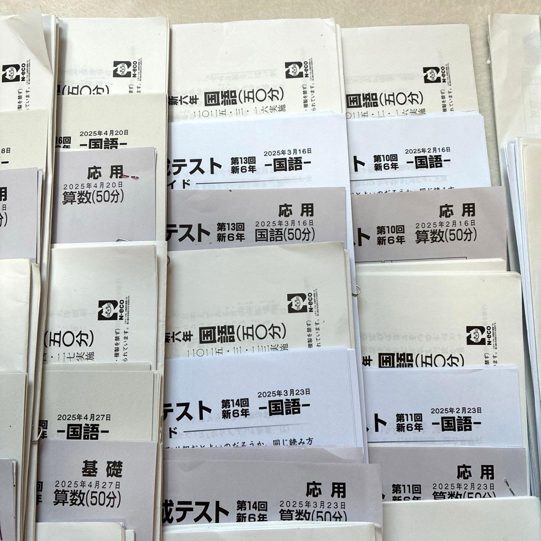 【最新2025年】日能研6年 前期　24回分　公開模試　育成テスト　入試実践模試